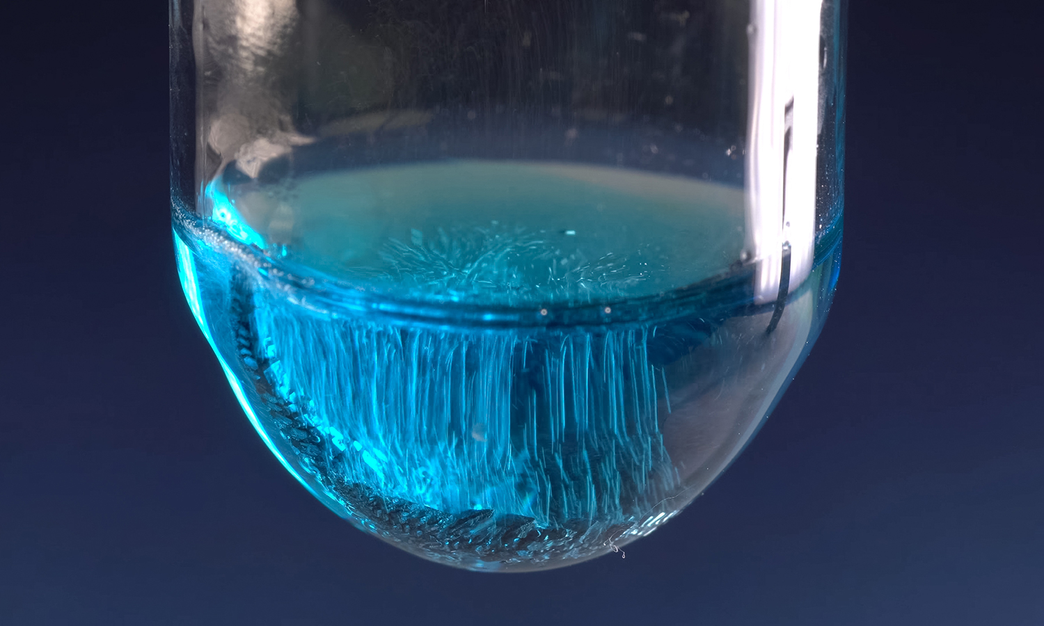 Determination of trigonine in QUISQUALIS FRUCTUS by HPLC